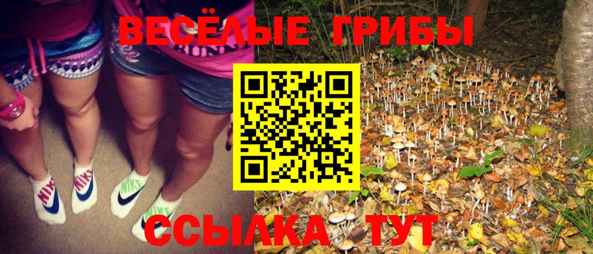Родники  Галлюциногенные грибы Magic Shrooms  Вход с VPN 